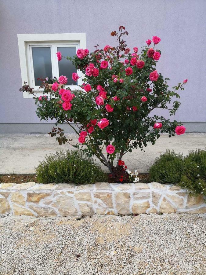 Home Lucic Lozovac Exterior photo